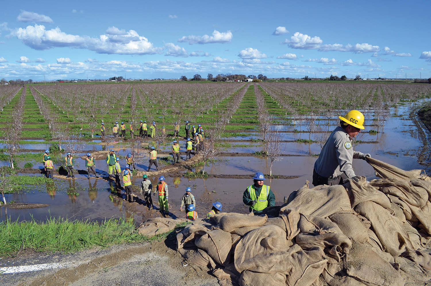 People in hard hats and construction vests pass sandbags down a line through a flooded agricultural field. 