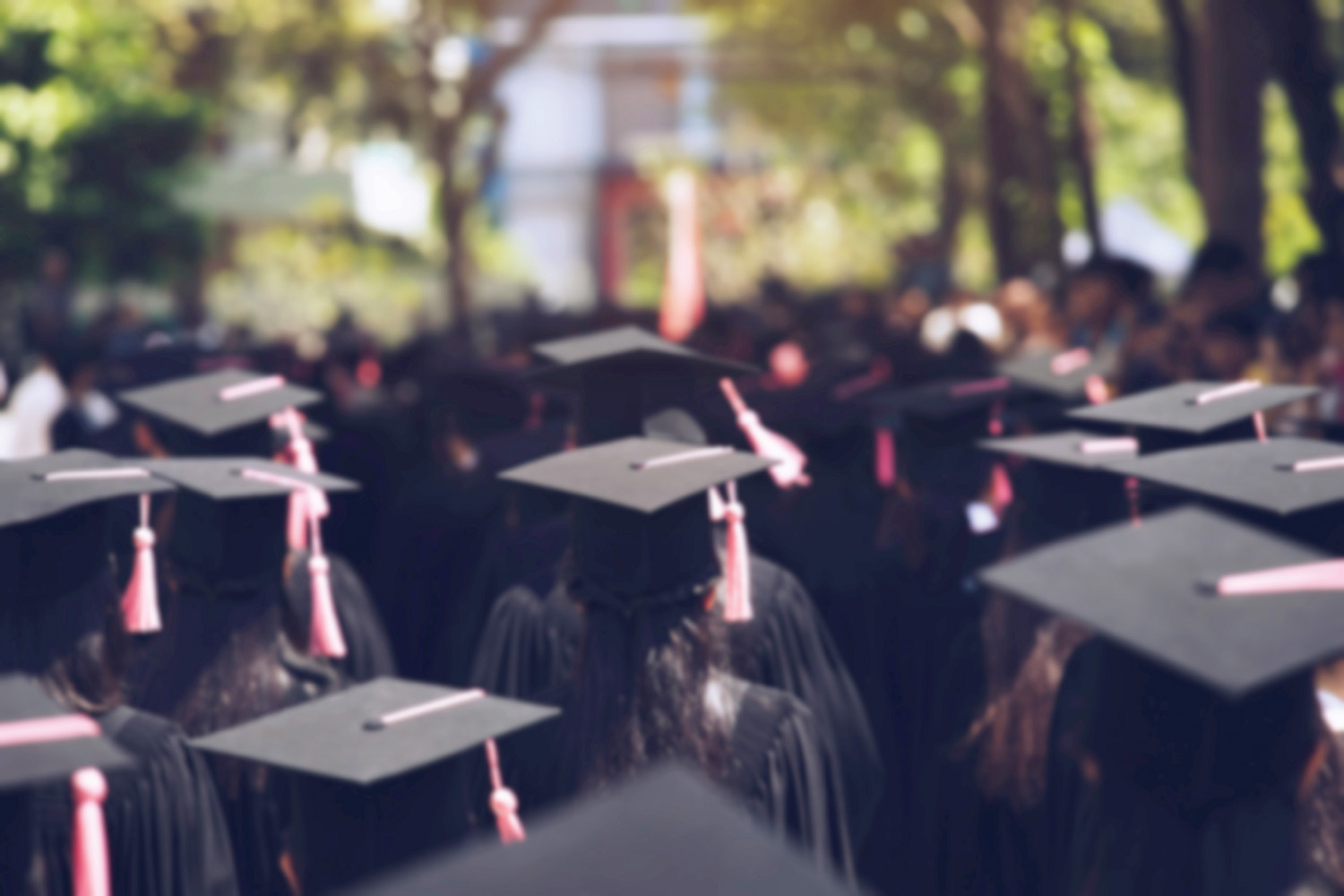 A back profile of a group of students, wearing black graduation gowns and caps with tassels. 