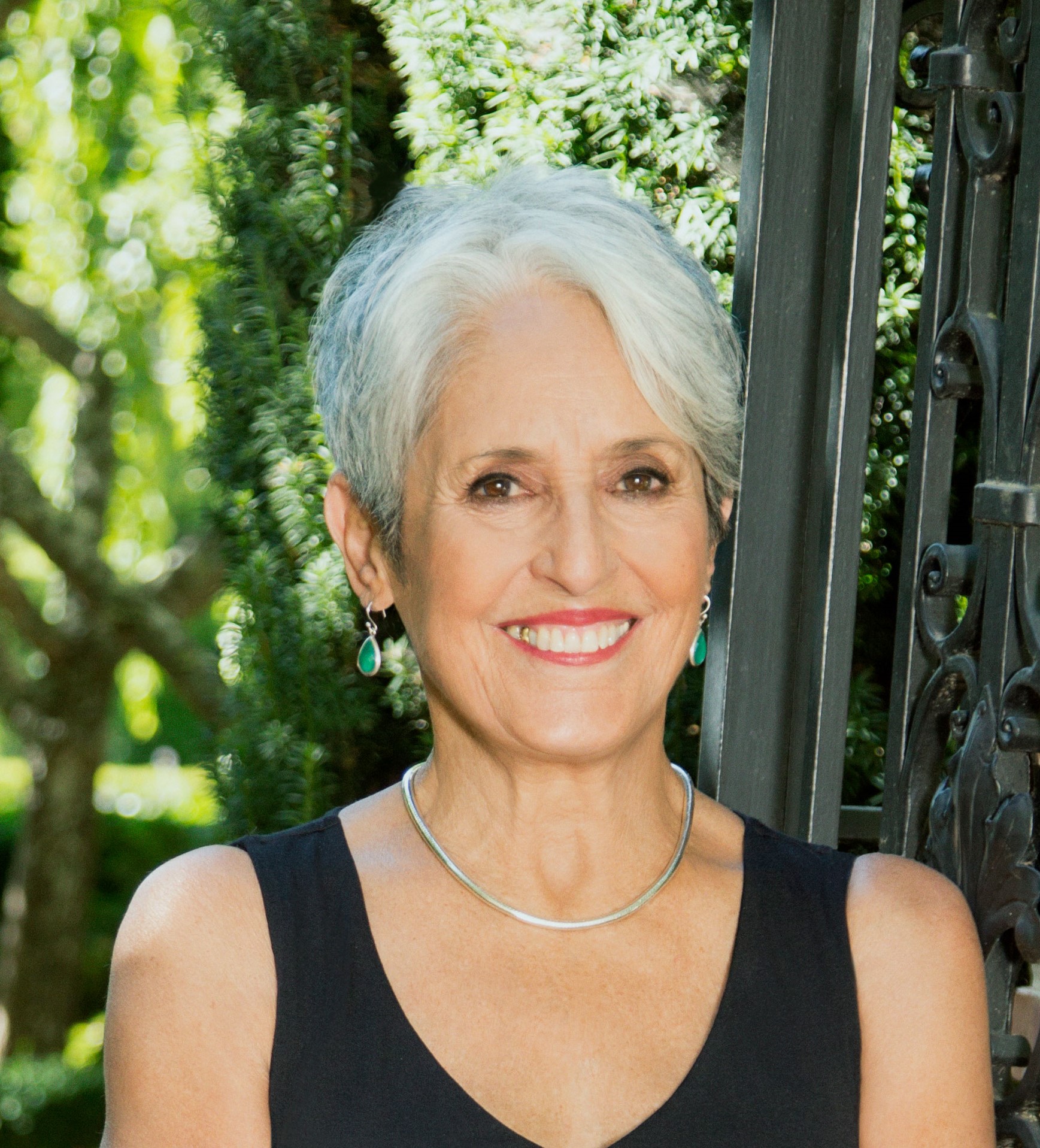 Joan Baez Singer | Folk Singer Joan Baez | Joan Baez Education