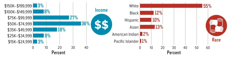 Demographics of Festival Attendees