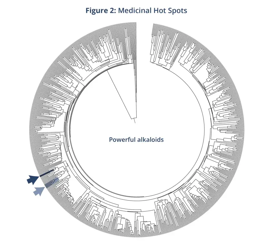 Figure 2: Medicinal Hot Spots