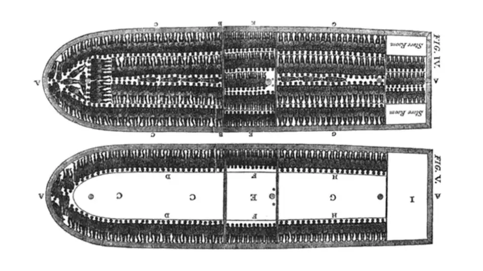 Diagram of a Slave Ship from the Trans-Atlantic Slave Trade, 1790–1791
