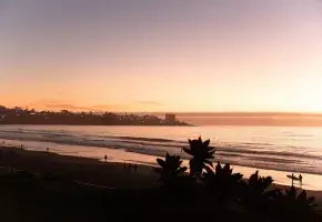 San Diego shoreline with palm trees